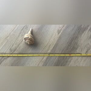 14k gold chain necklace. 18 inch